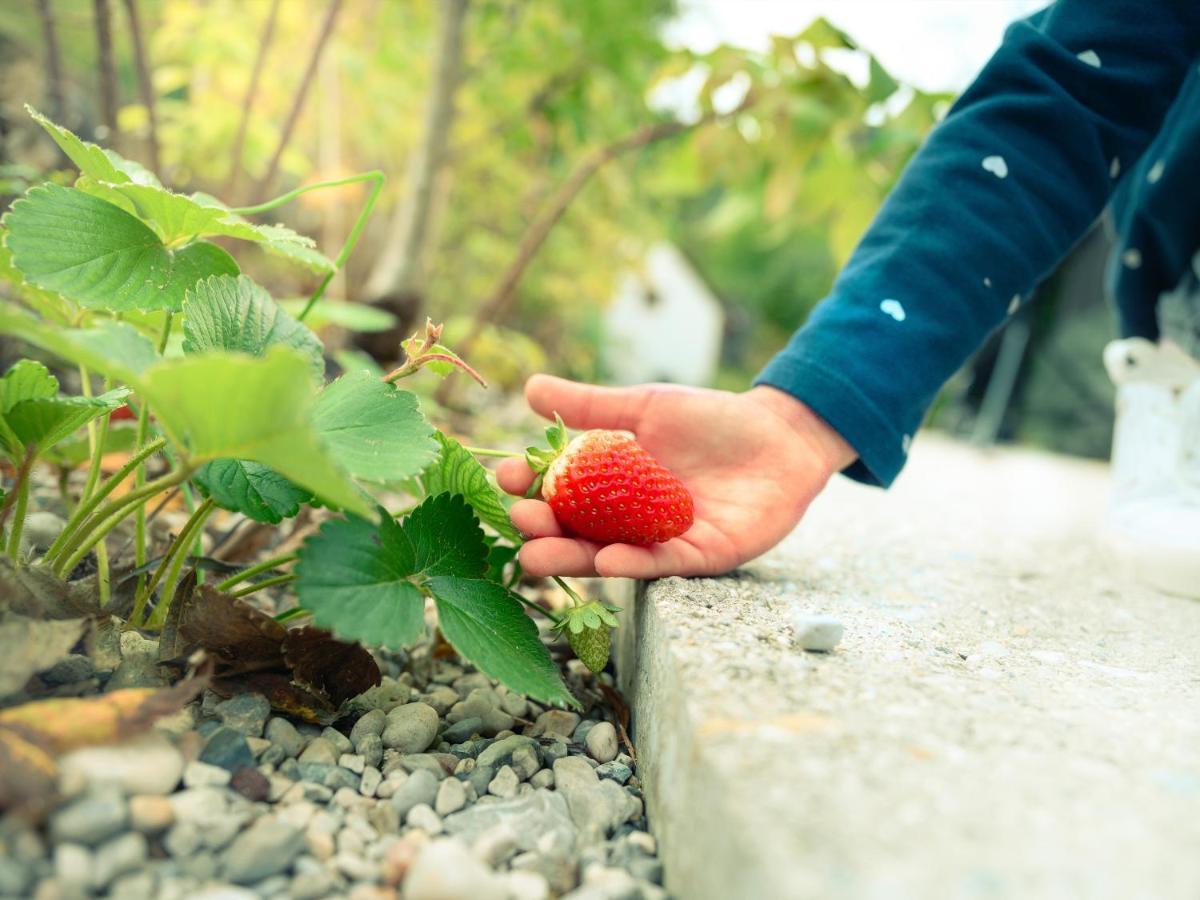 Garden Village Bled Bagian luar foto